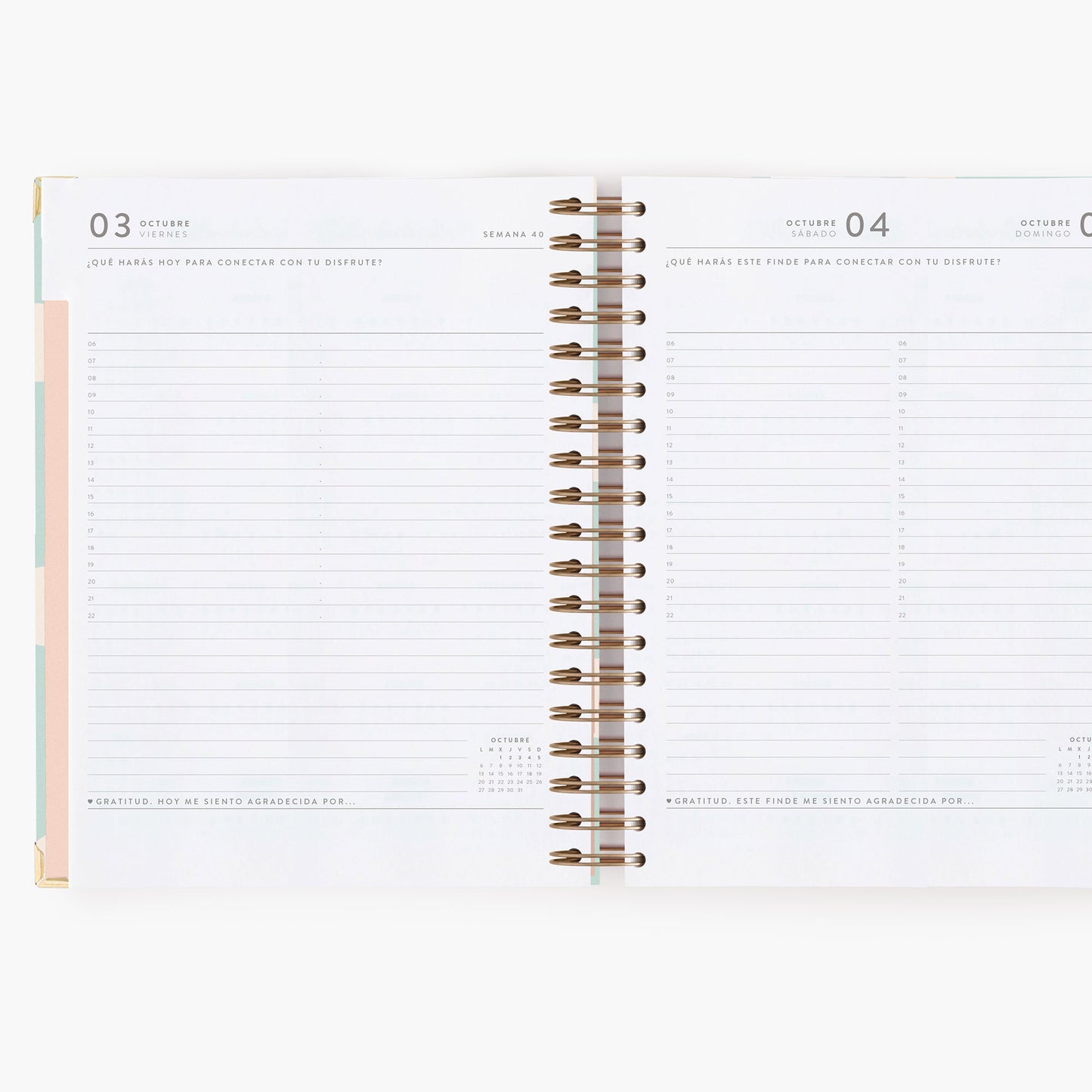 Agenda diaria 25-26. Mint. Grande.