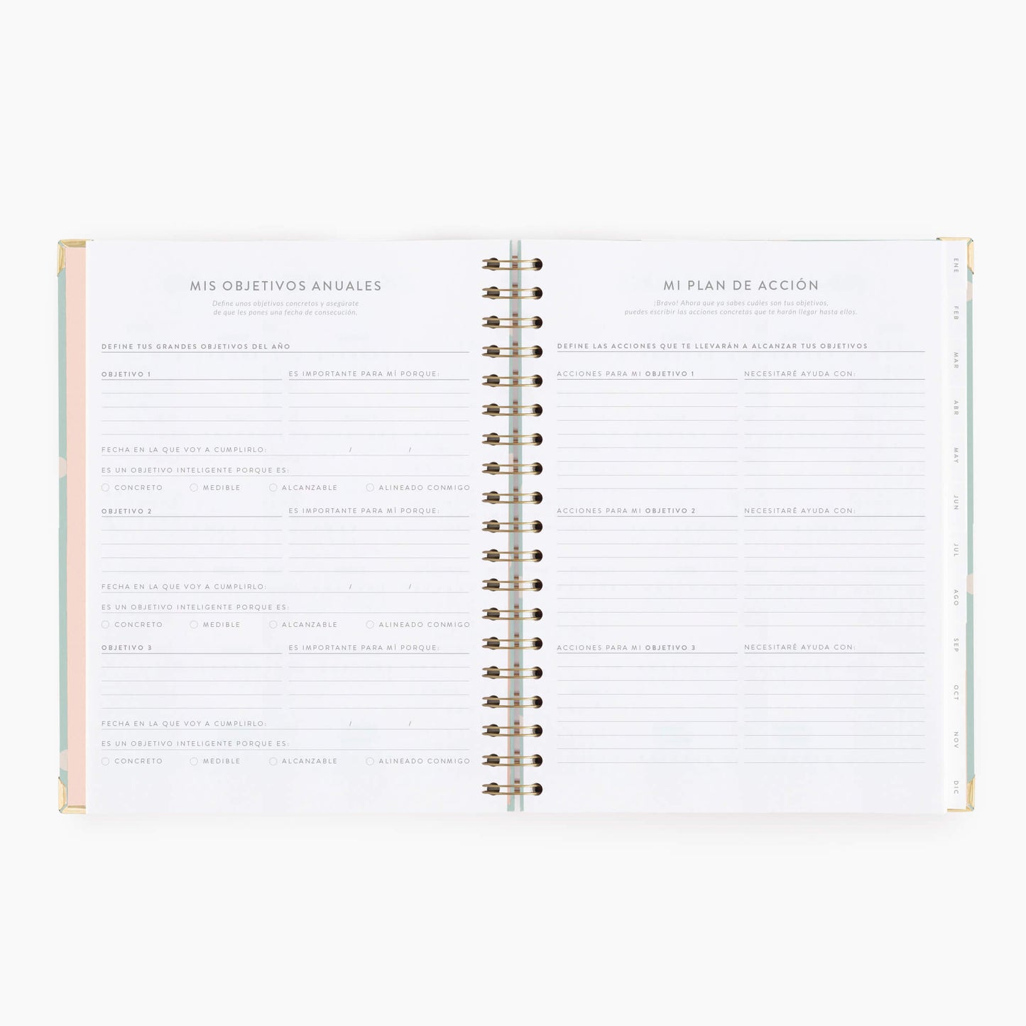 Agenda semanal 2026. Mint. Grande.