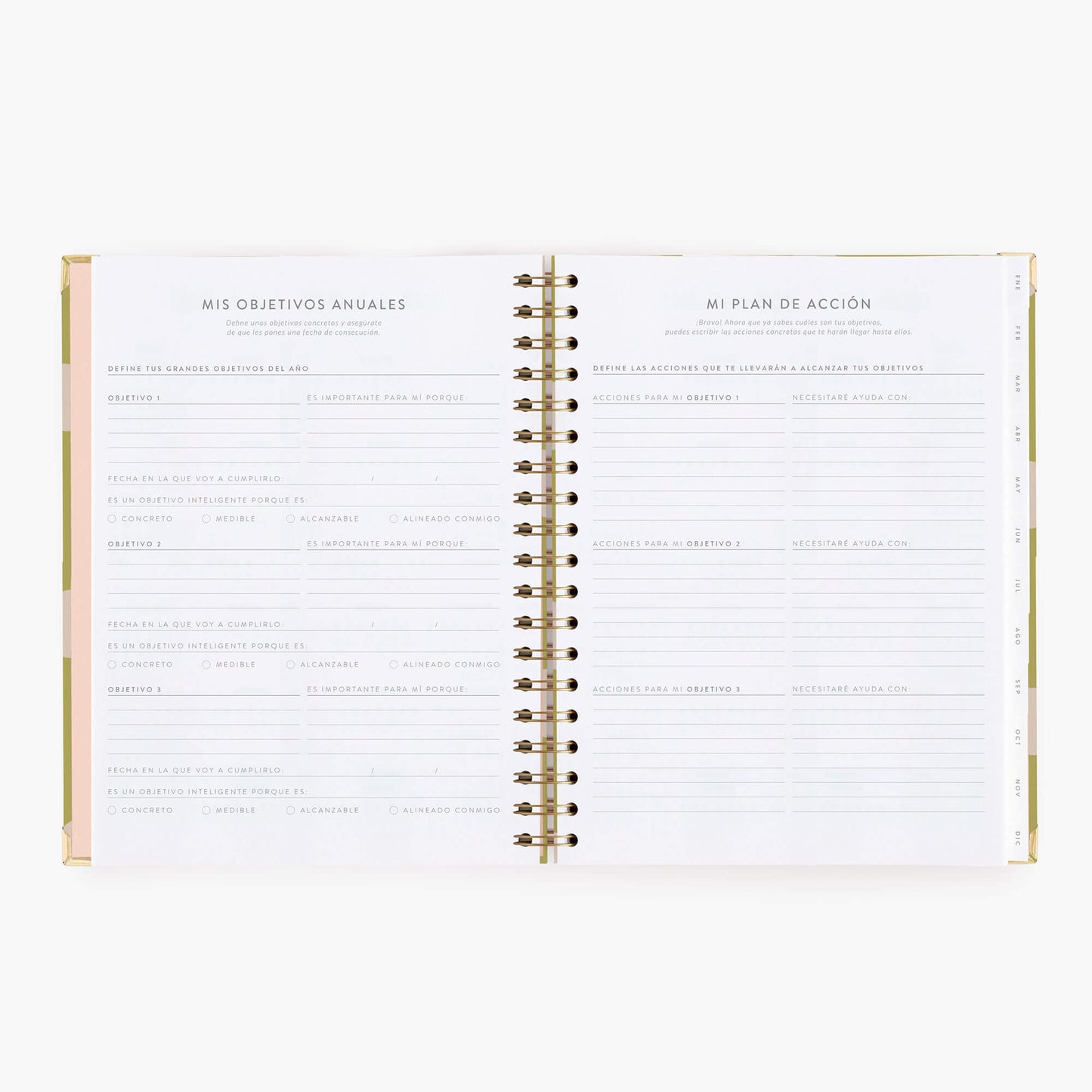 Agenda semanal 2027. Pistacho dream. Grande