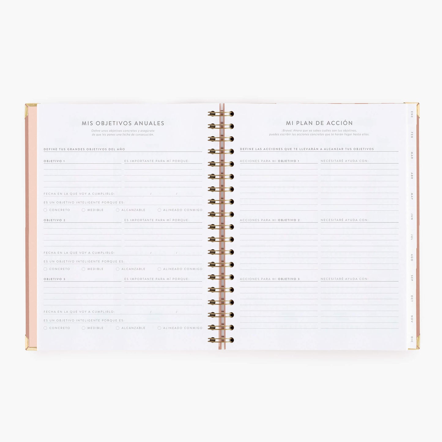 Agenda semanal 2027. Panamera Pink. Grande