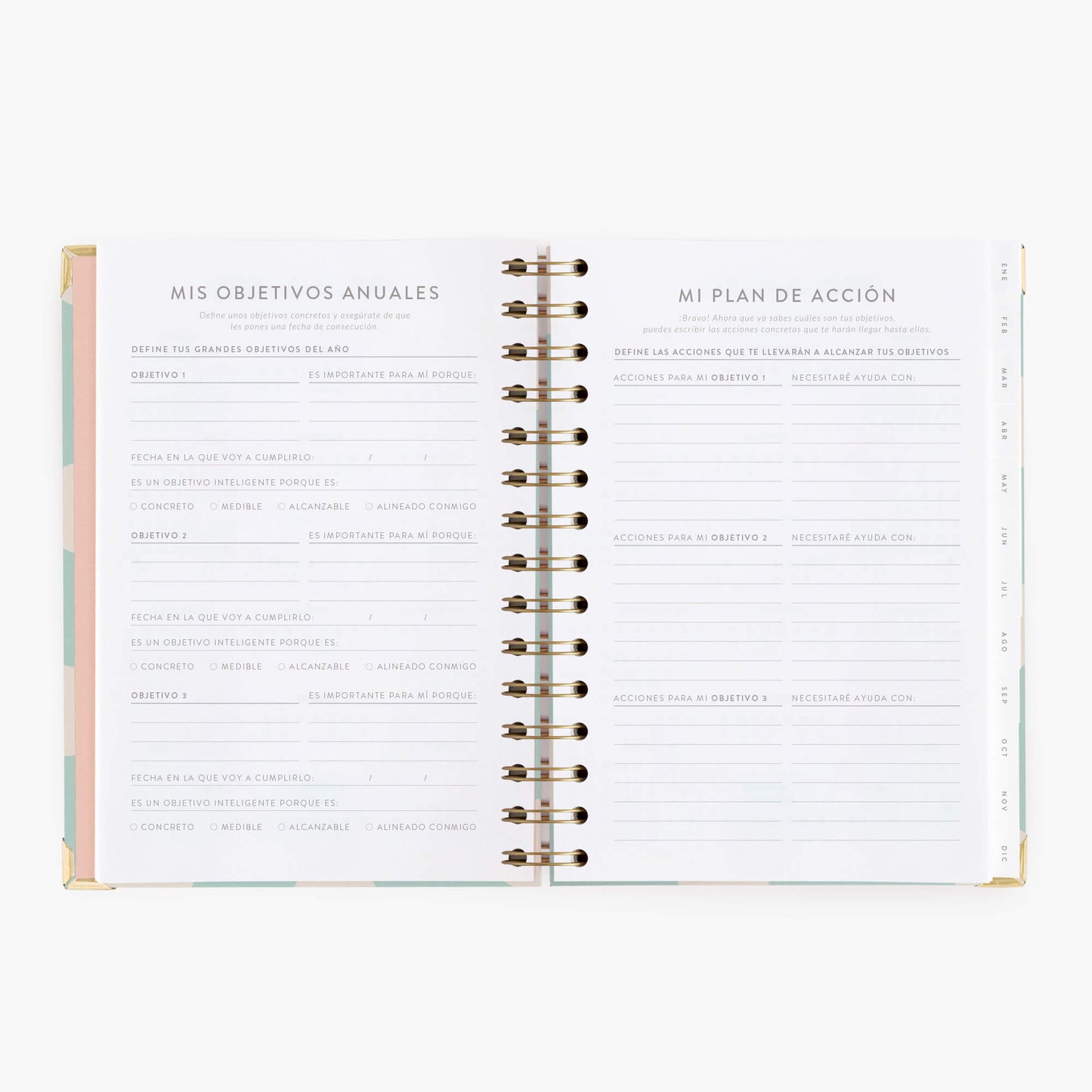 Agenda semanal 2026. Mint. Mediana.