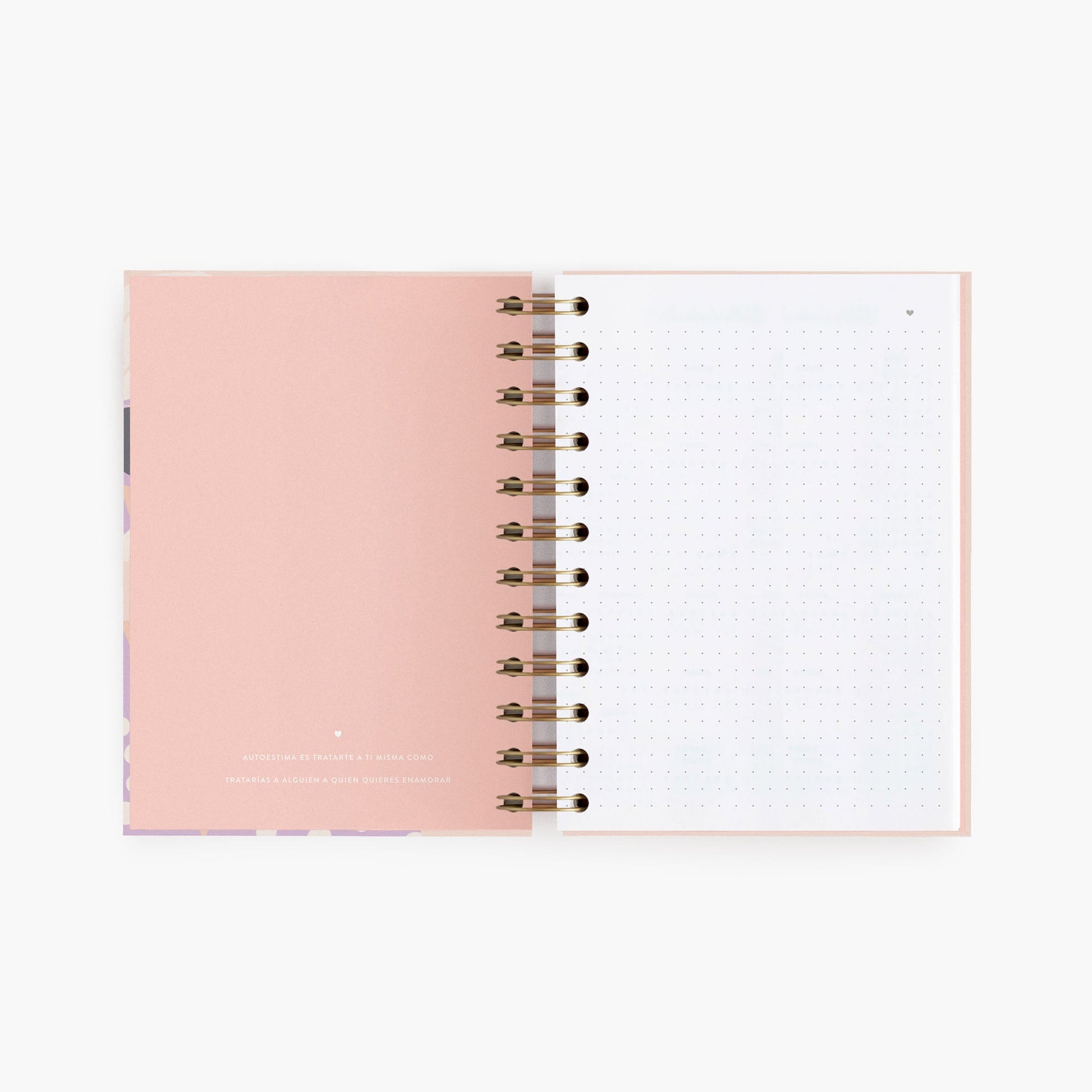 Cuaderno mini. Jefa.