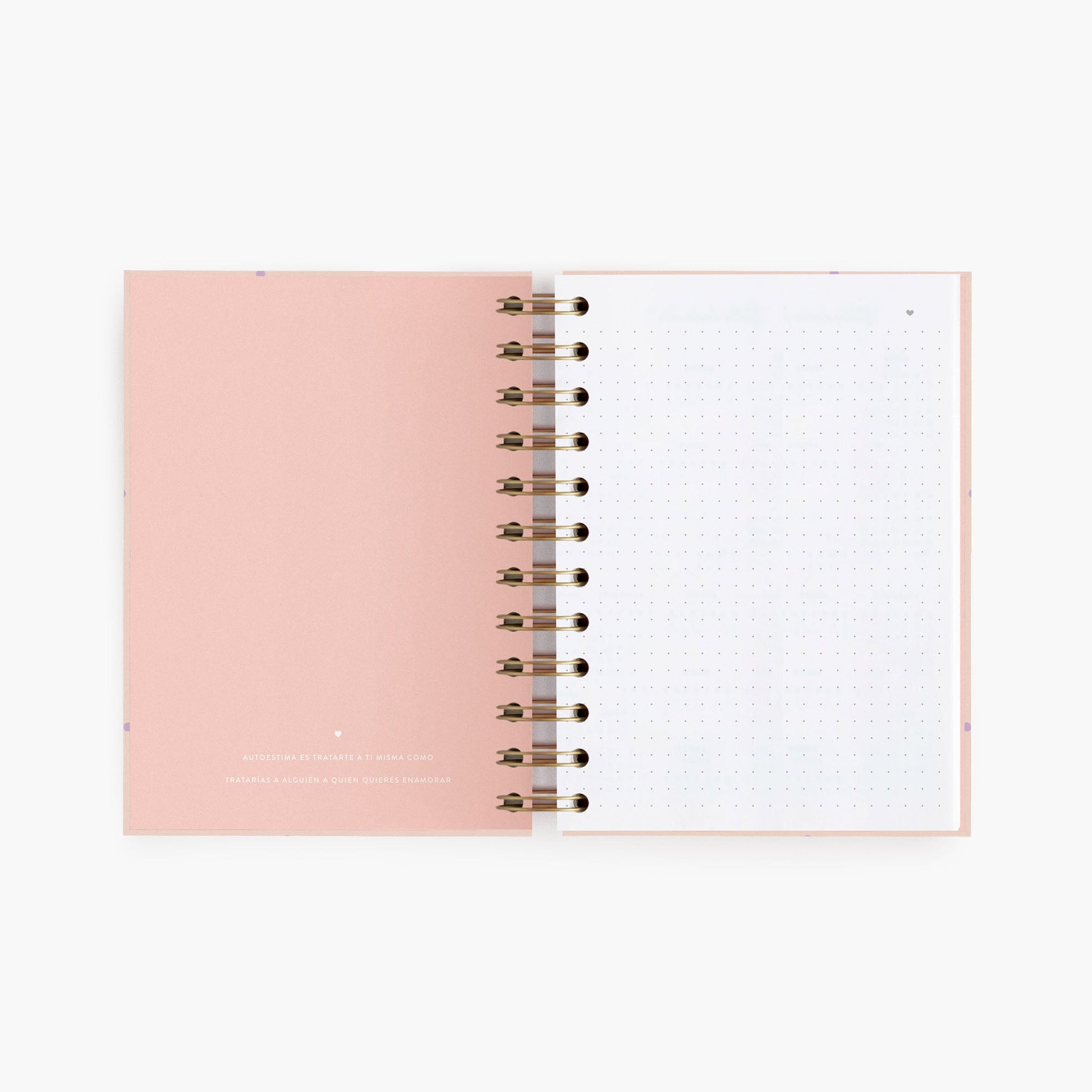 Cuaderno mini. Pink & Lila.