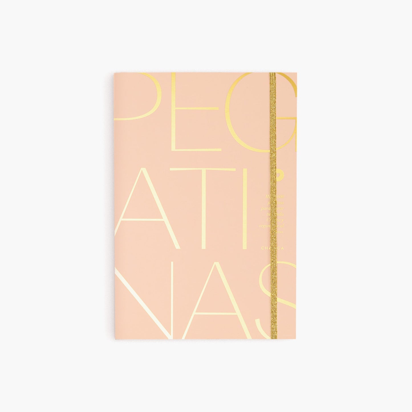 Libro de pegatinas Pink&Gold.