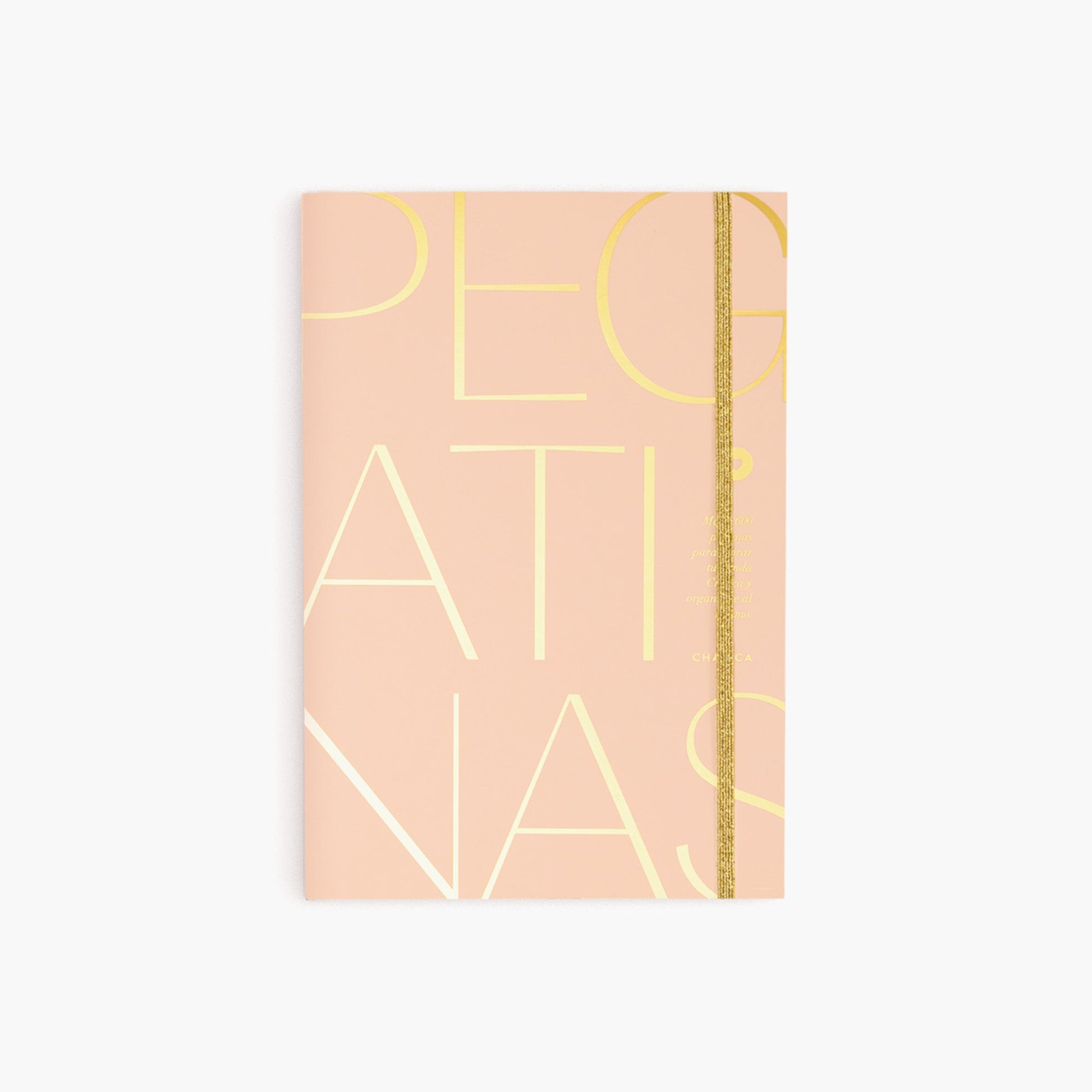 Libro de pegatinas Pink&Gold.