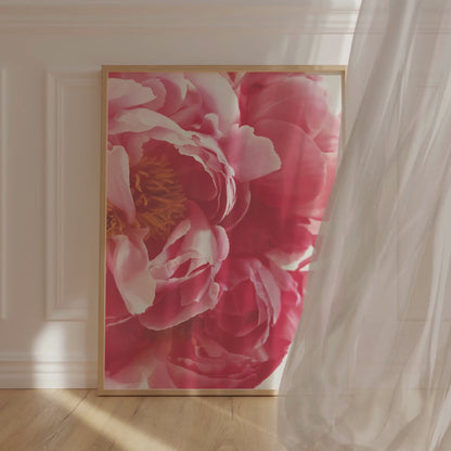 Peony. Póster.